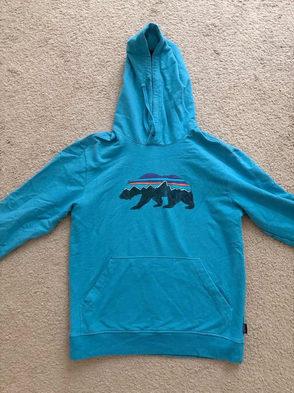 Patagonia Turquoise Hoodie with Bear Graphic - Men